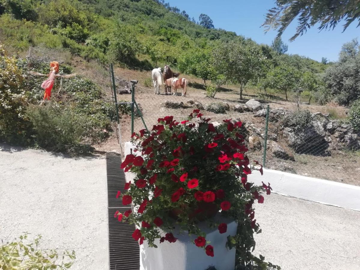 Casinha Da Lareira - Quintinha Dos Cavalos- * Arruda dos Vinhos